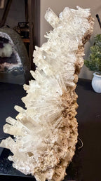 Australian Selenite Crystal Statement Piece