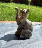 Picture Jasper Cat