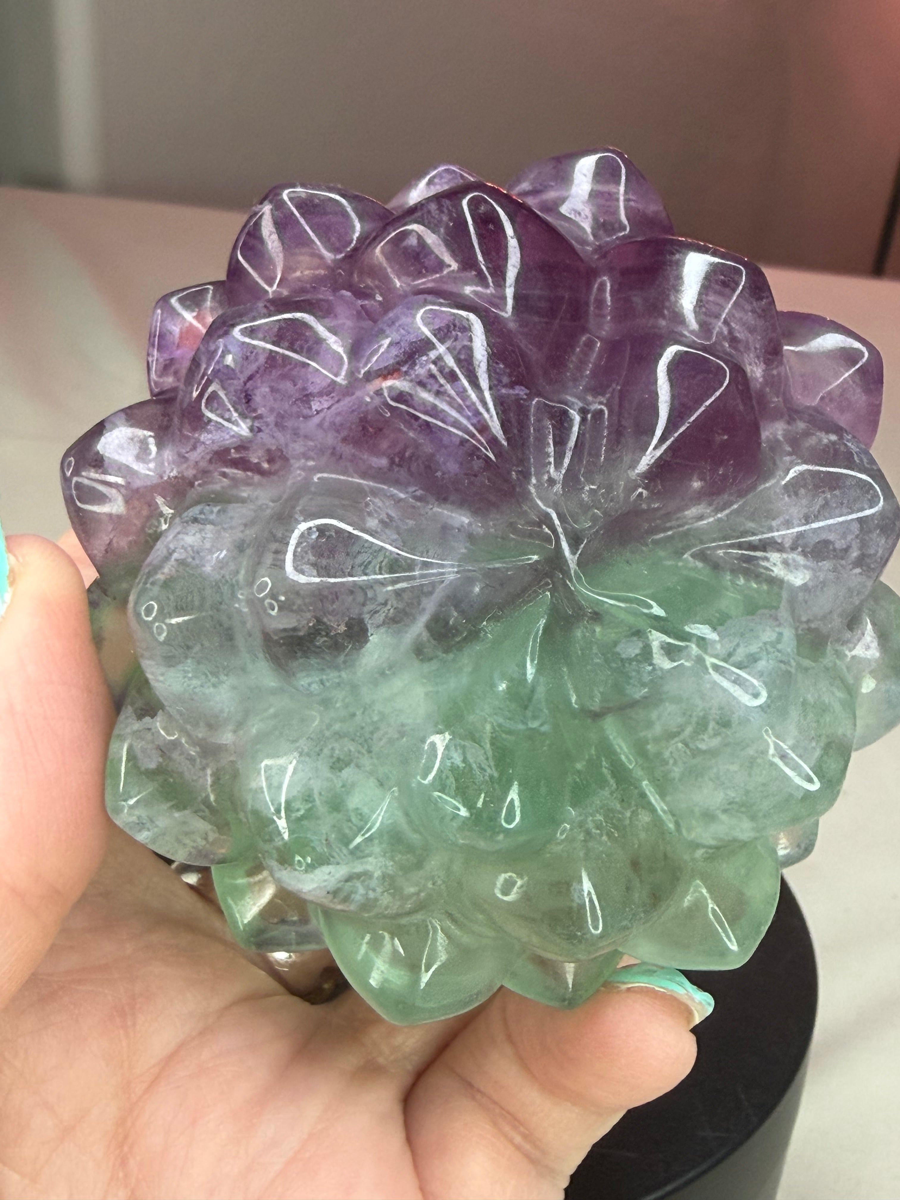 Rainbow Fluorite Flower Succulent Carving on Stand