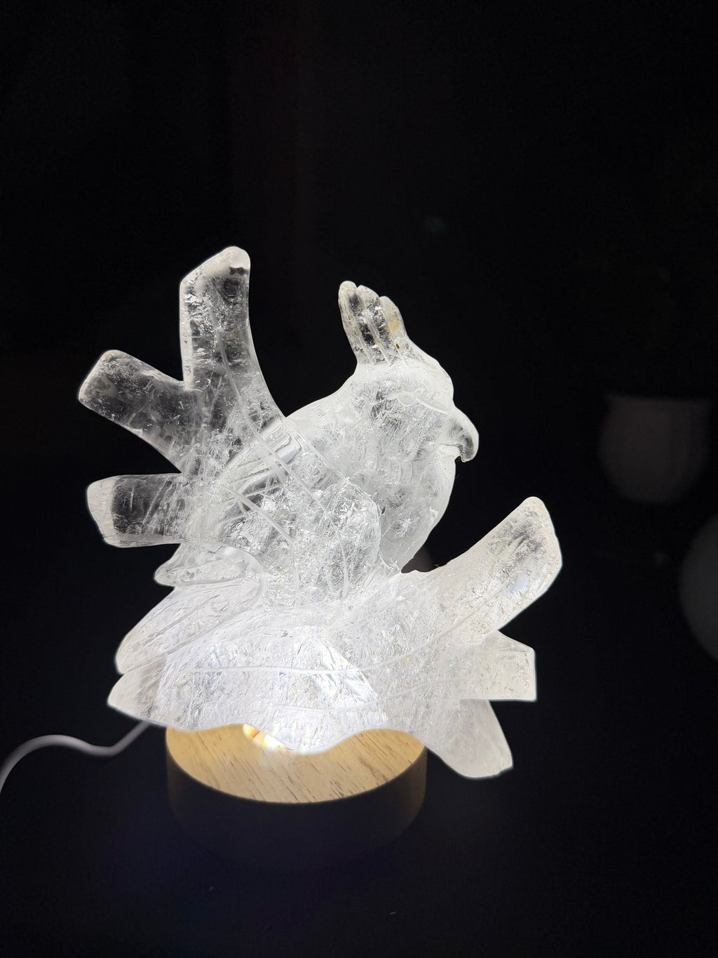 Gorgeous Hand Carved Clear Quartz Bird