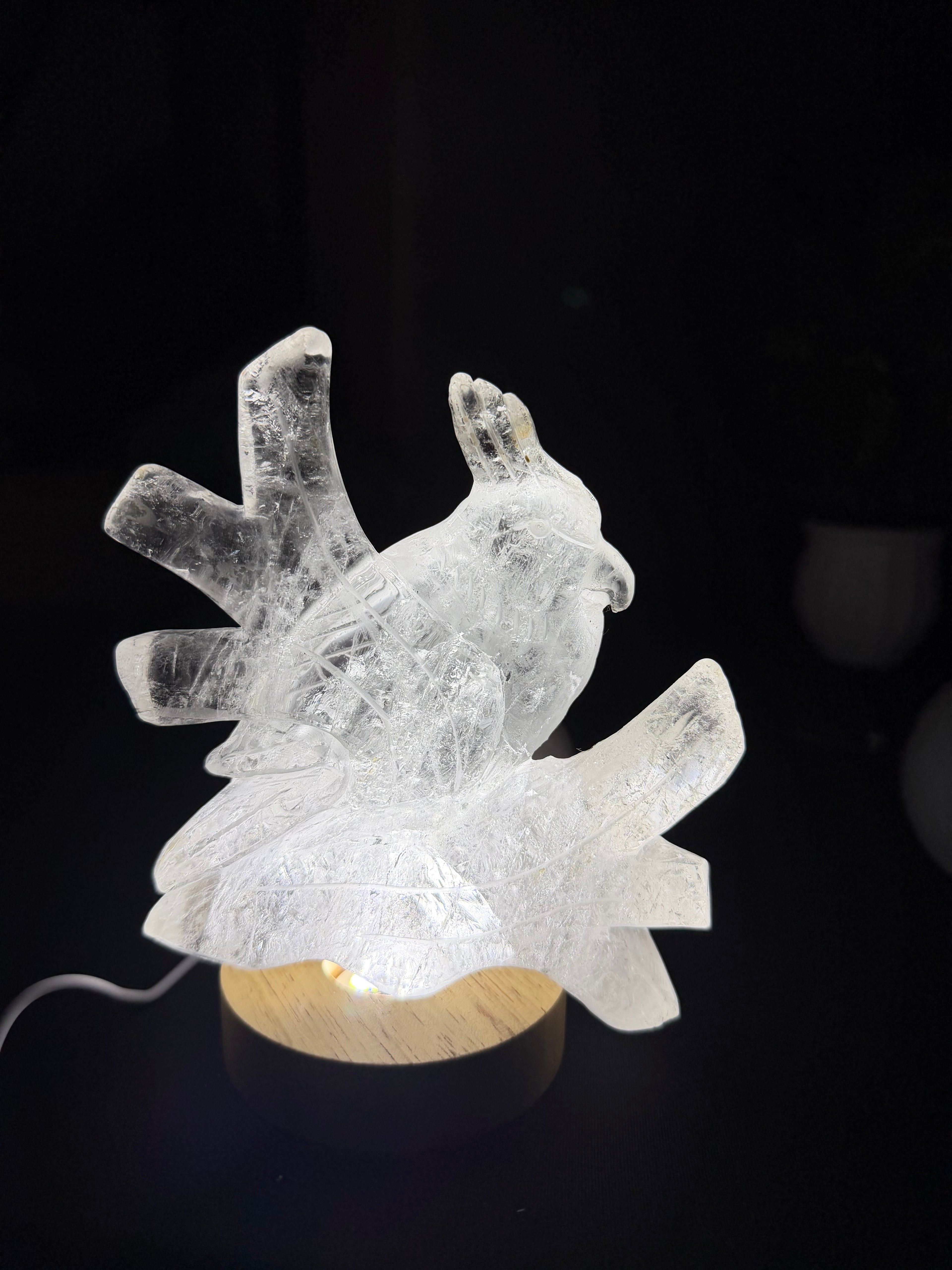 Gorgeous Hand Carved Clear Quartz Bird