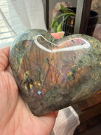Labradorite Polished
Stone Heart 3.5" - Flashy
Iridescent Mineral
Specimen