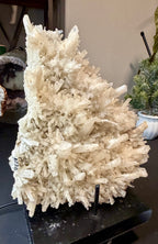 Australian Selenite Crystal Statement Piece