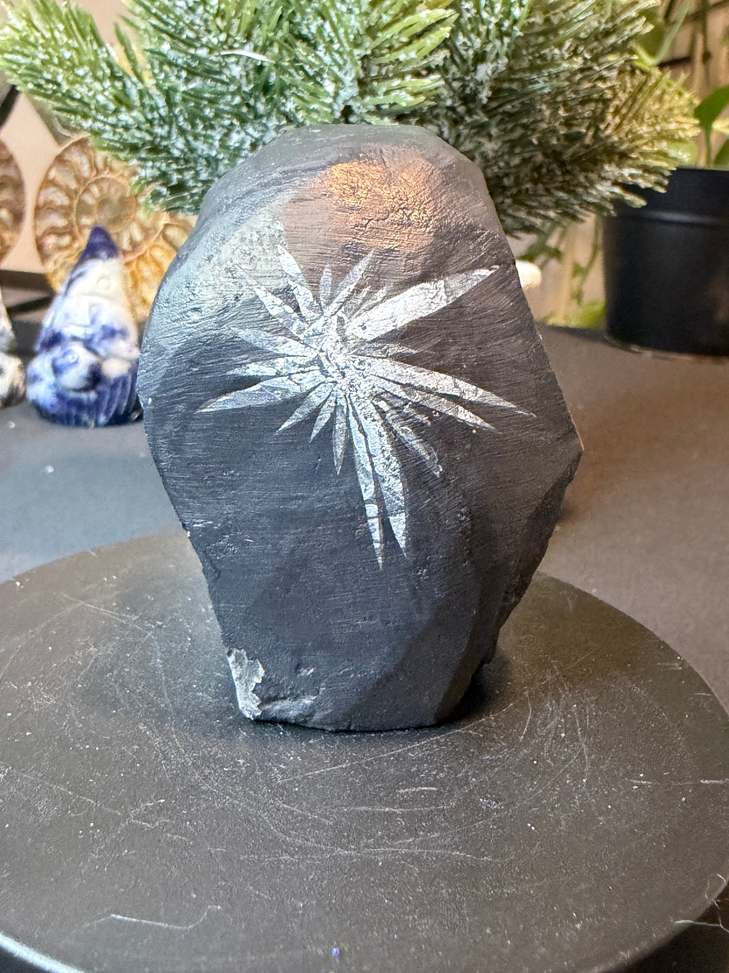 Natural Chrysanthemum Stone Specimen