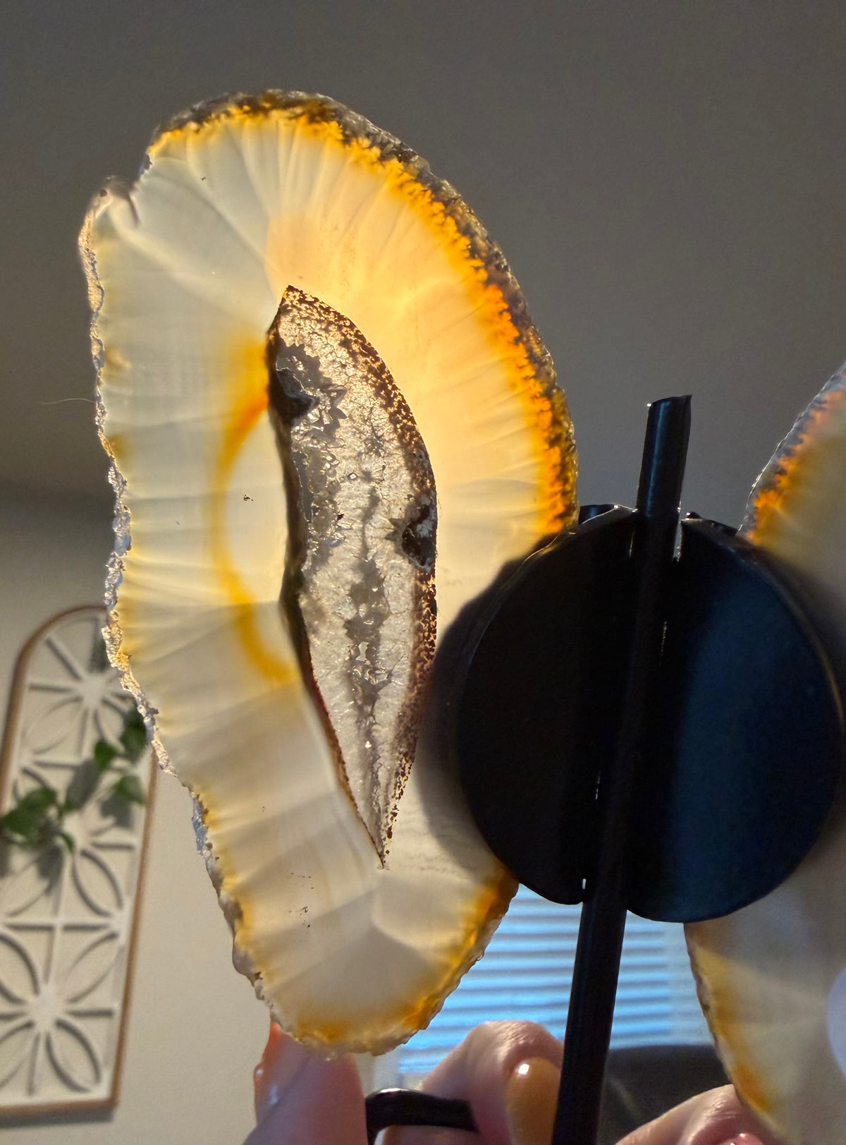 Natural Agate Butterfly Wings on Display Stand - 5.5" Mineral Sculpture - 7.3 oz
