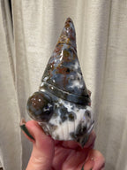 Crystal Gnomes