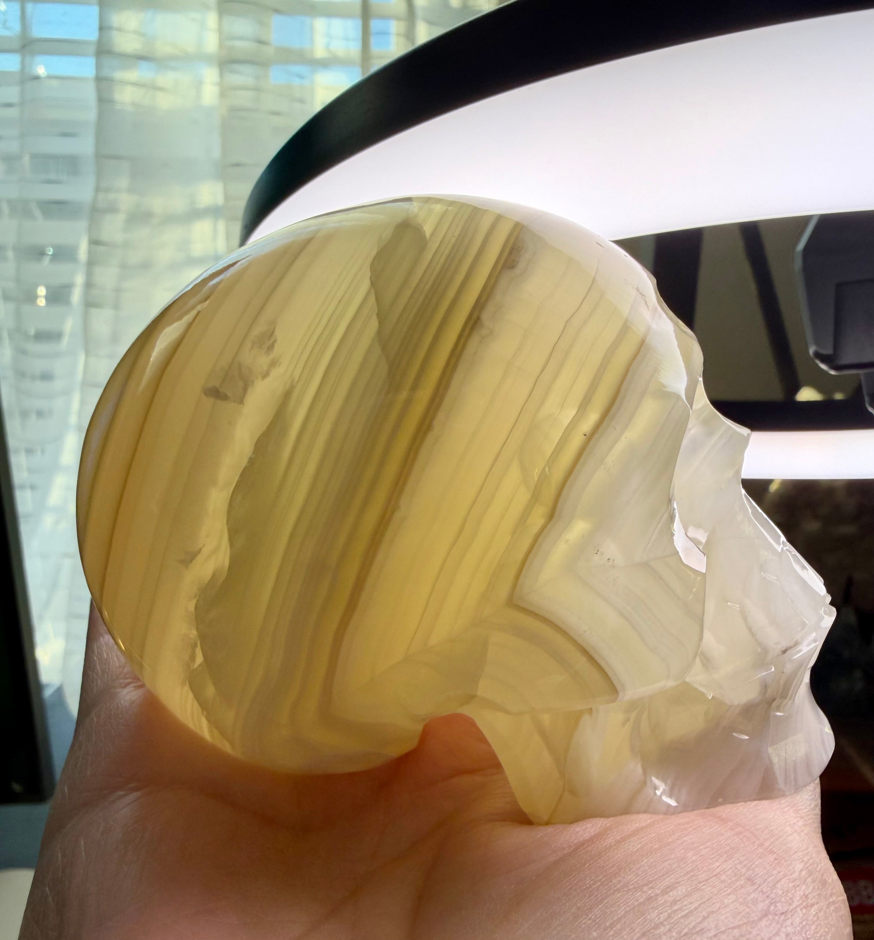 Mexican Green Onyx Skull Carving - UV Reactive Banded Calcite