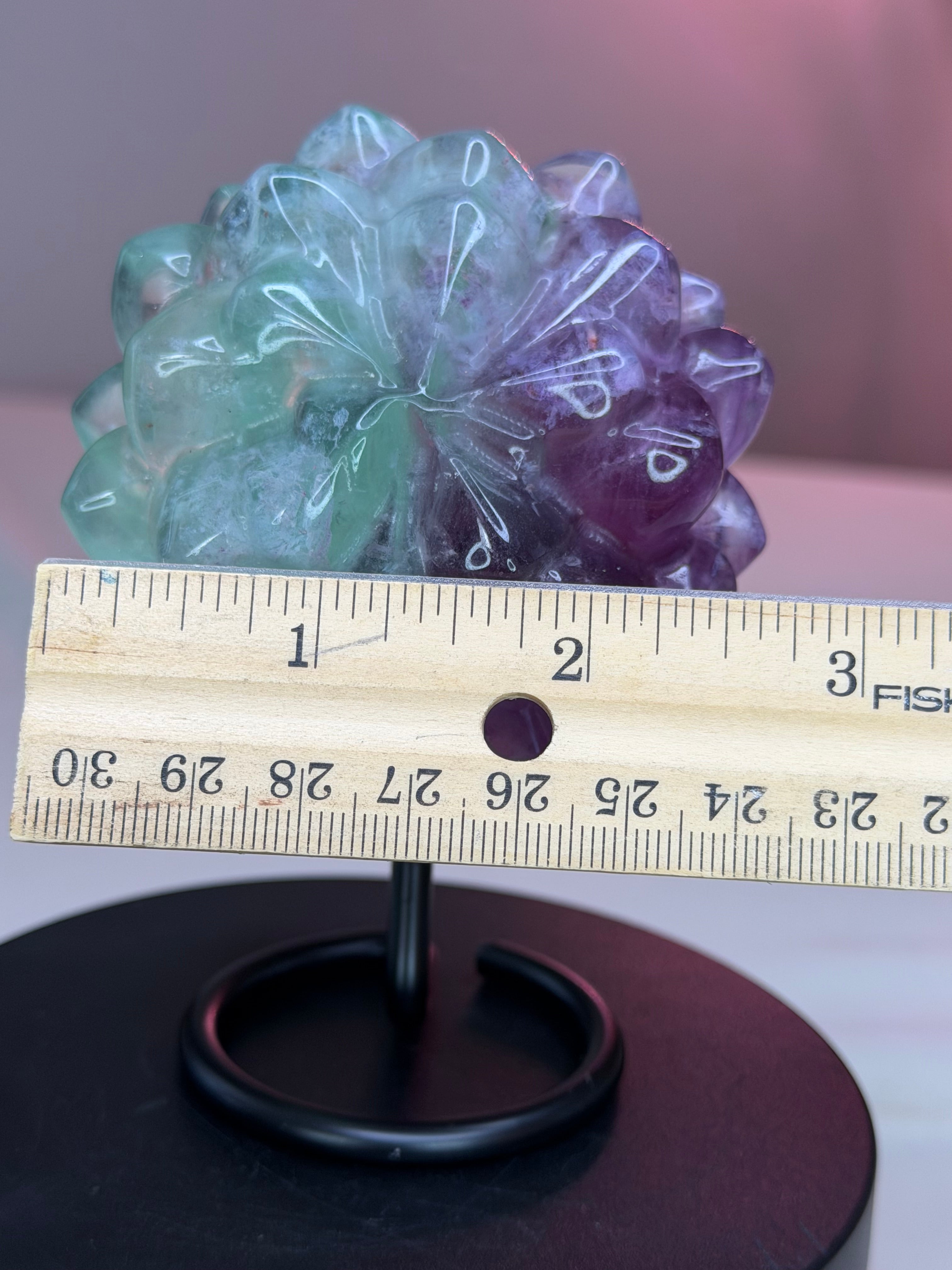 Rainbow Fluorite Flower Succulent Carving on Stand
