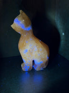Orange Calcite Cat Carving - UV Reactive Fluorescent Stone Figurine
