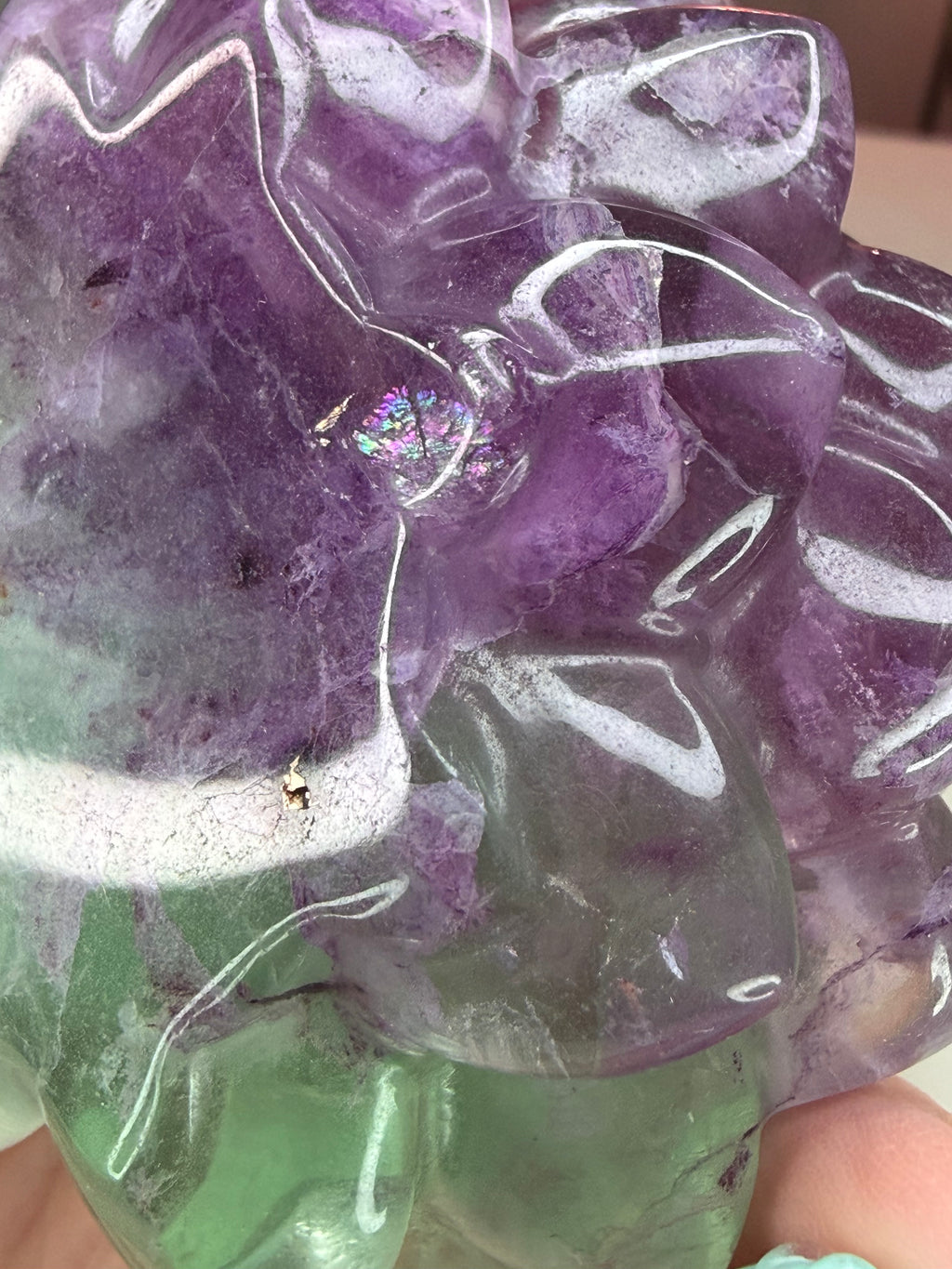 Rainbow Fluorite Flower Succulent Carving on Stand