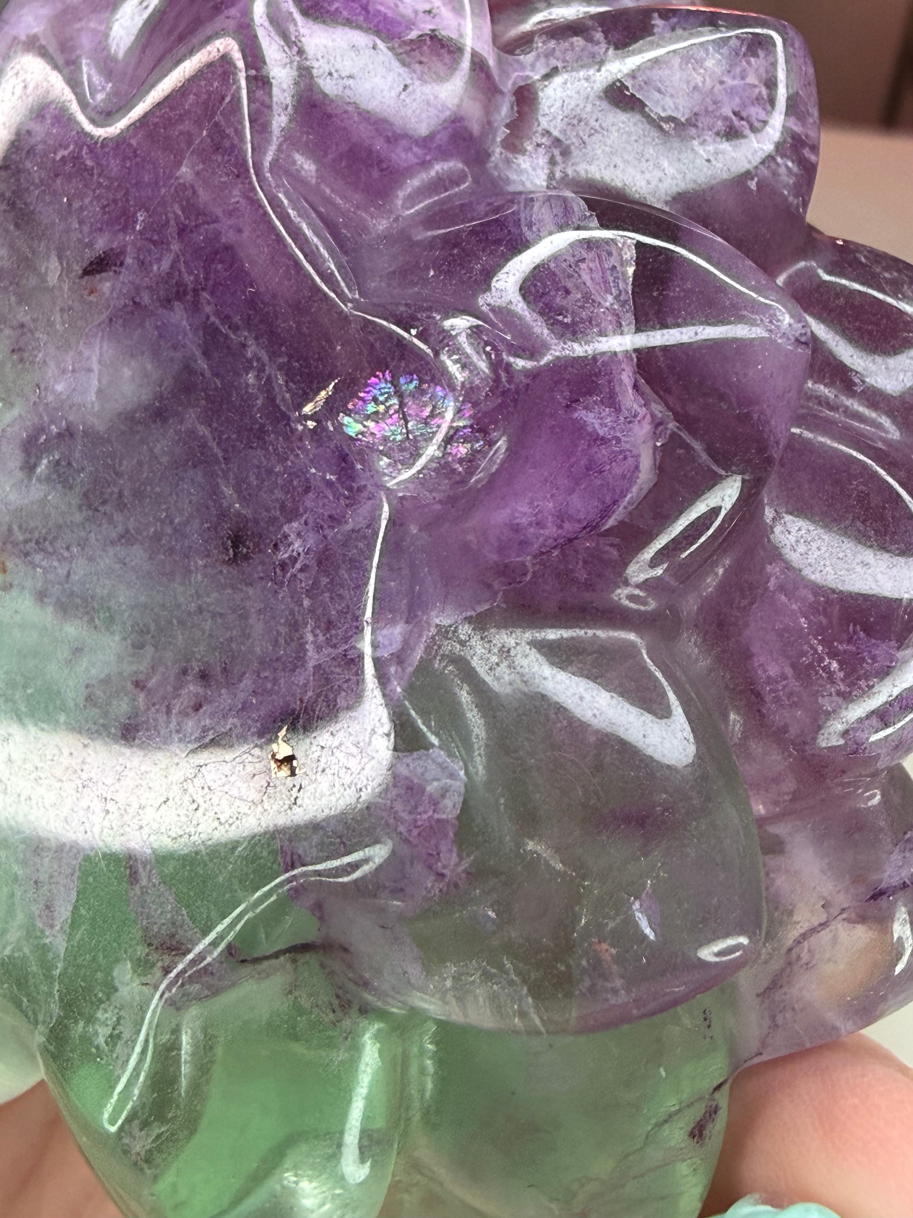 Rainbow Fluorite Flower Succulent Carving on Stand