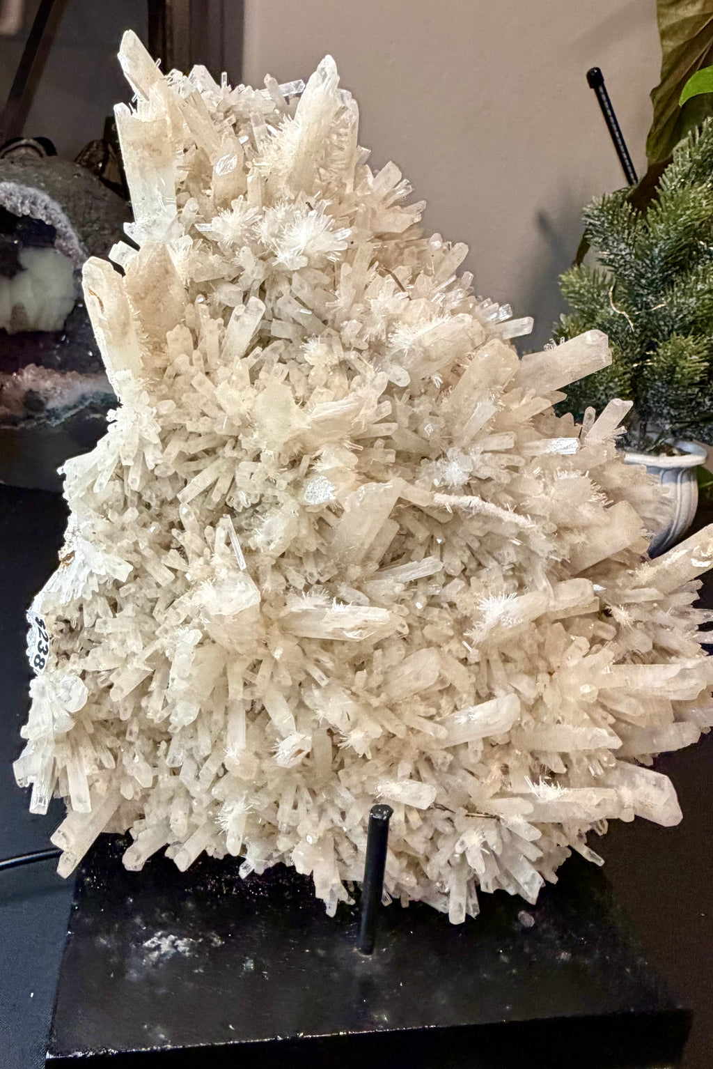Australian Selenite Crystal Statement Piece