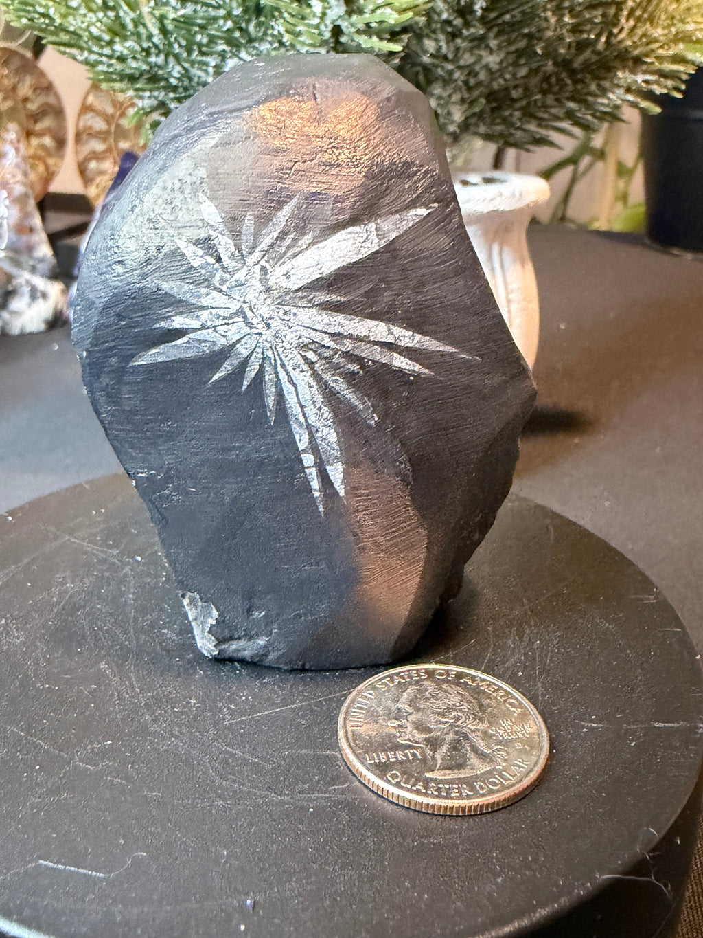 Natural Chrysanthemum Stone Specimen