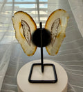Natural Agate Butterfly Wings on Display Stand - 5.5" Mineral Sculpture - 7.3 oz