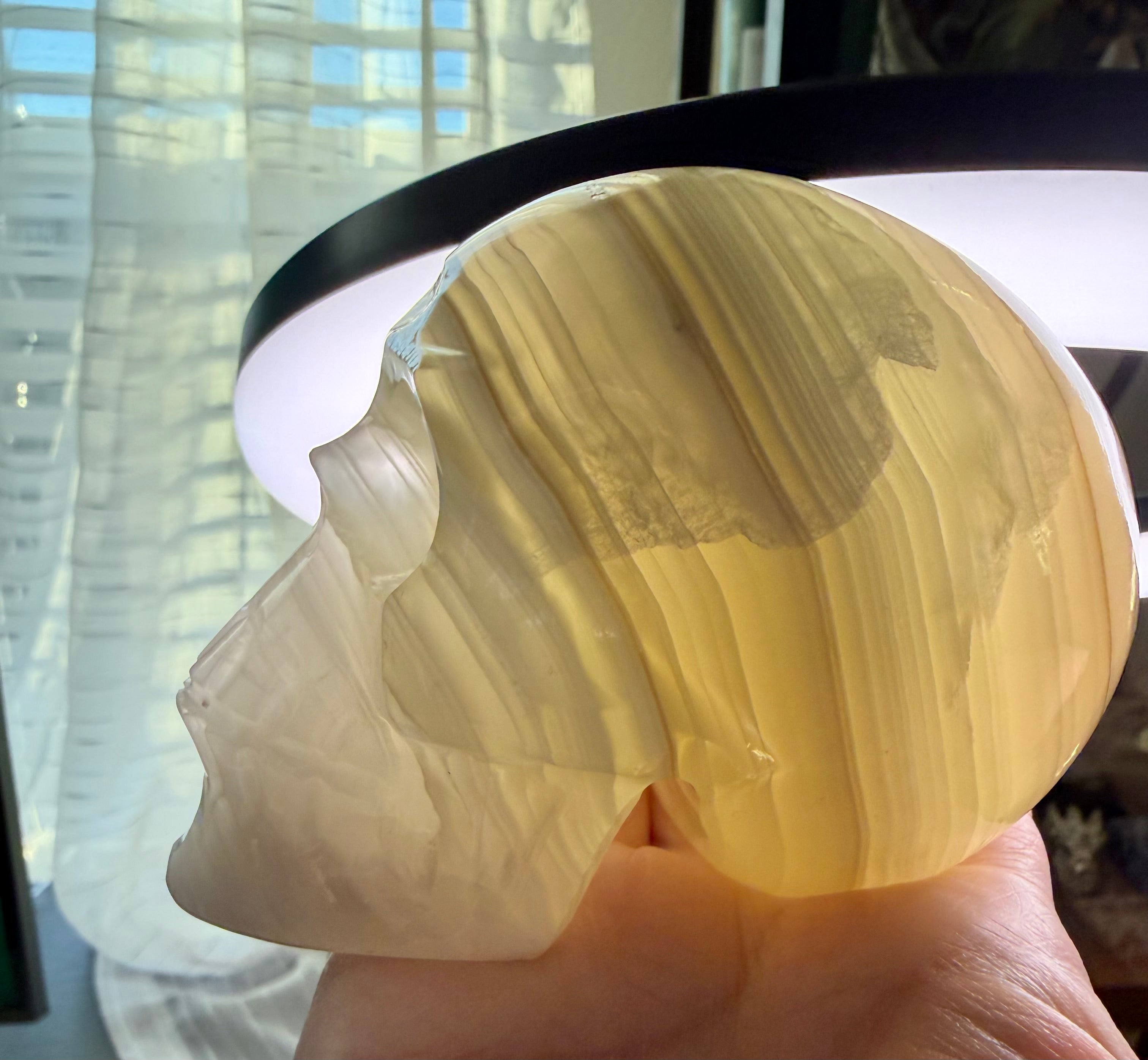 Mexican Green Onyx Skull Carving - UV Reactive Banded Calcite