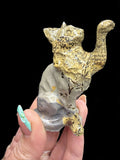 Picture Jasper Cat