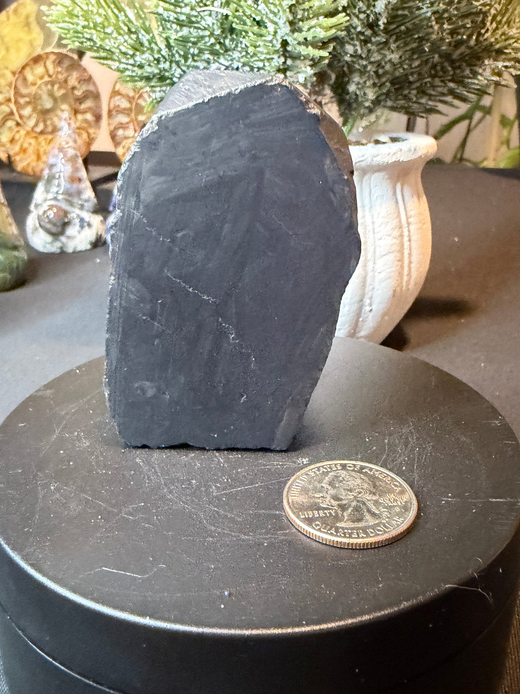 Natural Chrysanthemum Stone Specimen
