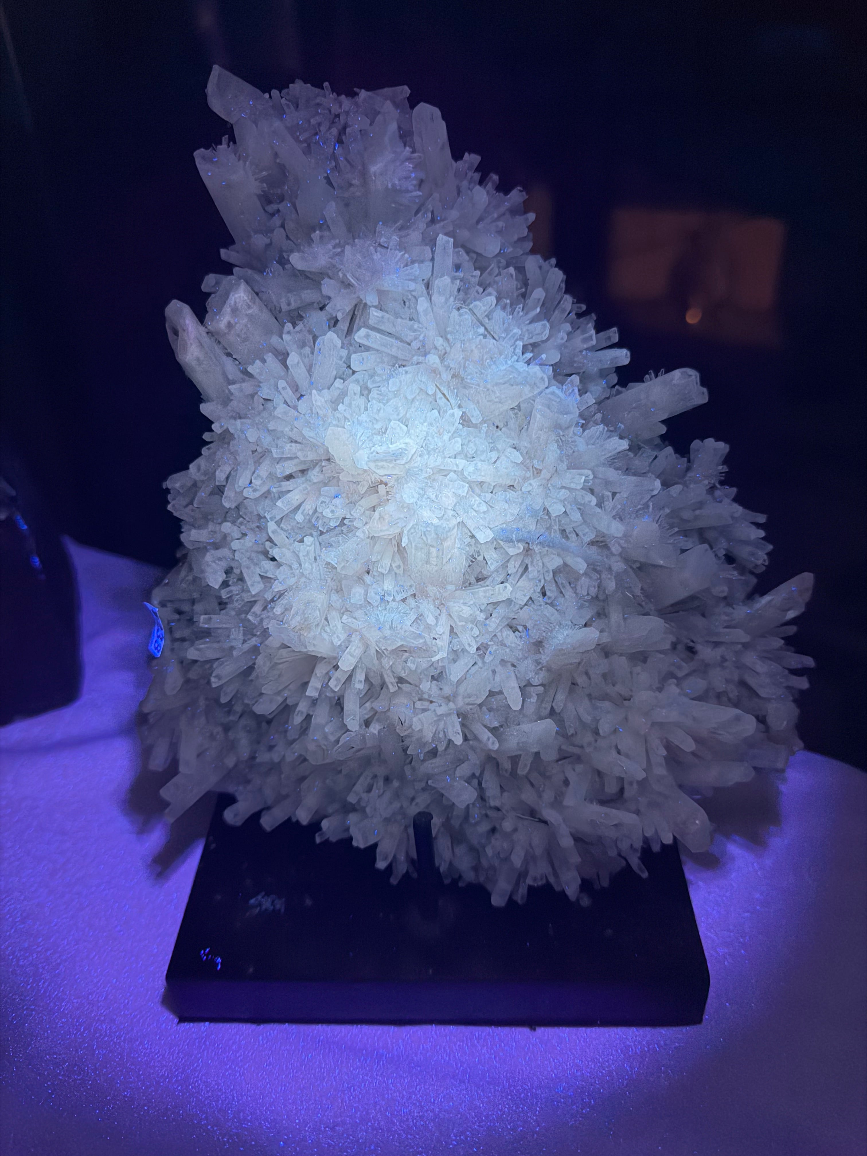Australian Selenite Crystal Statement Piece