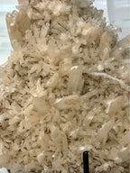 Australian Selenite Crystal Statement Piece