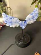 Natural Blue Sodalite Hackmanite Angel Wings with Heart Center