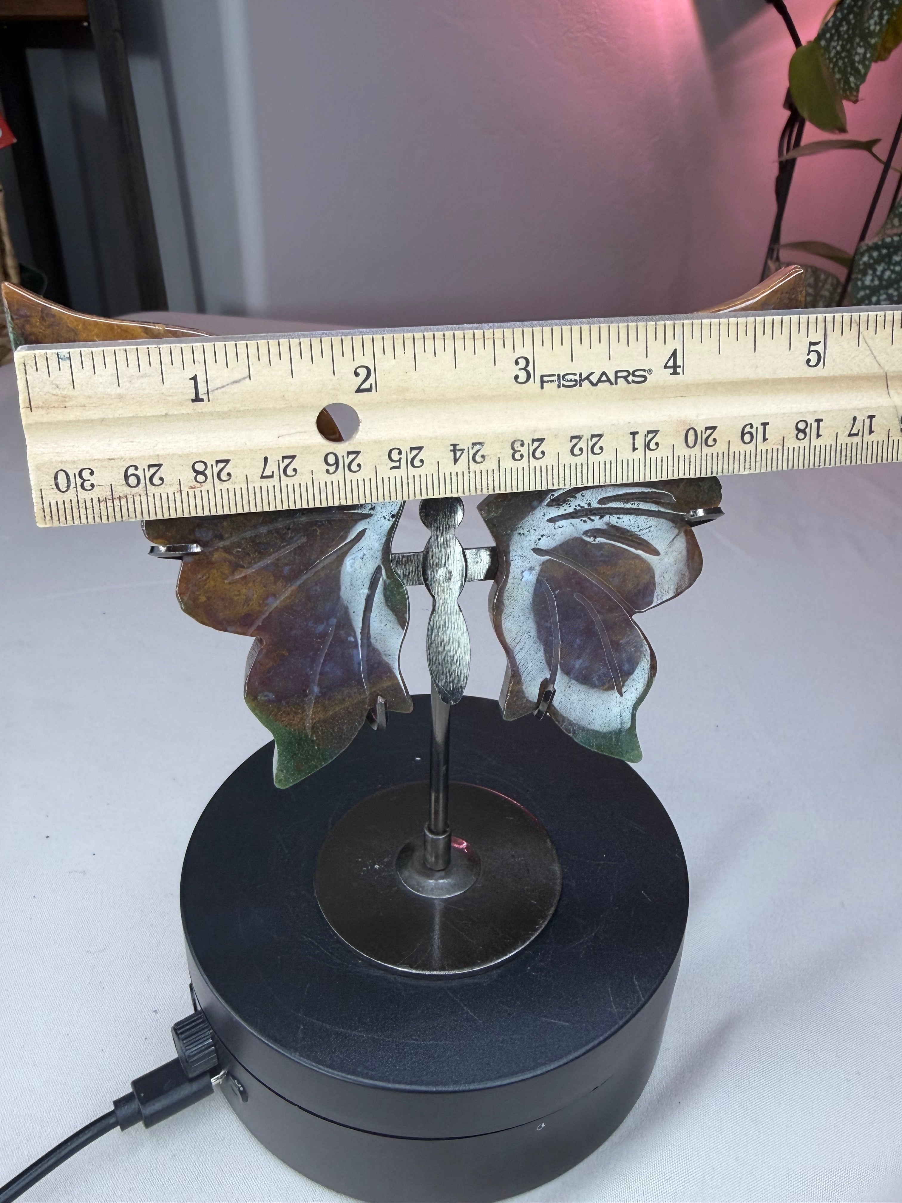 Ocean Jasper Butterfly Wings