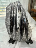Stunning Large Polished Stone Slab with Ancient Sea Tube Patterns + Display Stand