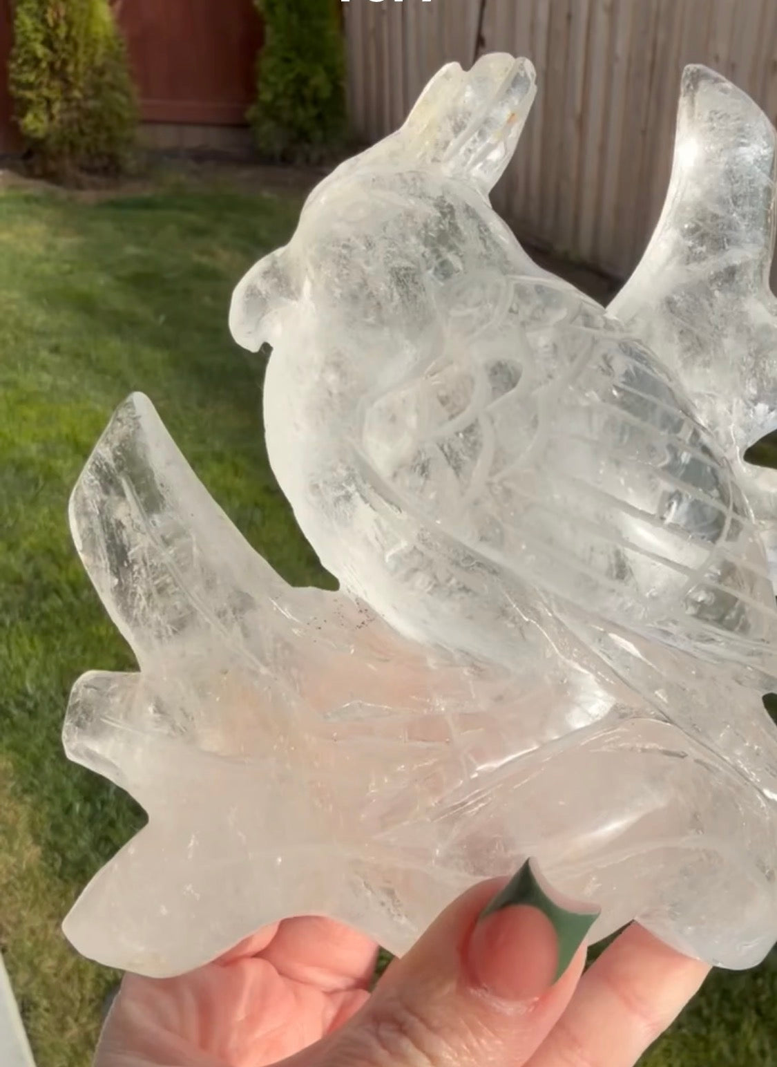 Gorgeous Hand Carved Clear Quartz Bird