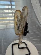 Natural Agate Butterfly Wings on Display Stand - 5.5" Mineral Sculpture - 7.3 oz