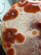 Carnelian Agate Crescent Moon with Stand