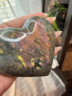 Labradorite Polished
Stone Heart 3.5" - Flashy
Iridescent Mineral
Specimen
