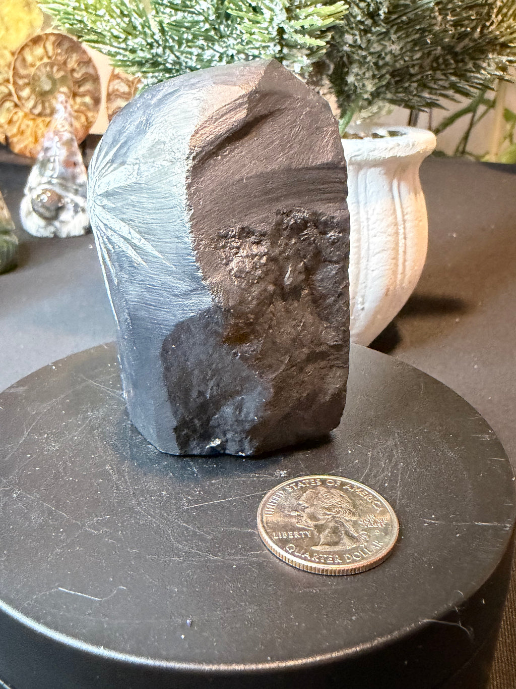 Natural Chrysanthemum Stone Specimen