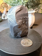 Natural Chrysanthemum Stone Specimen