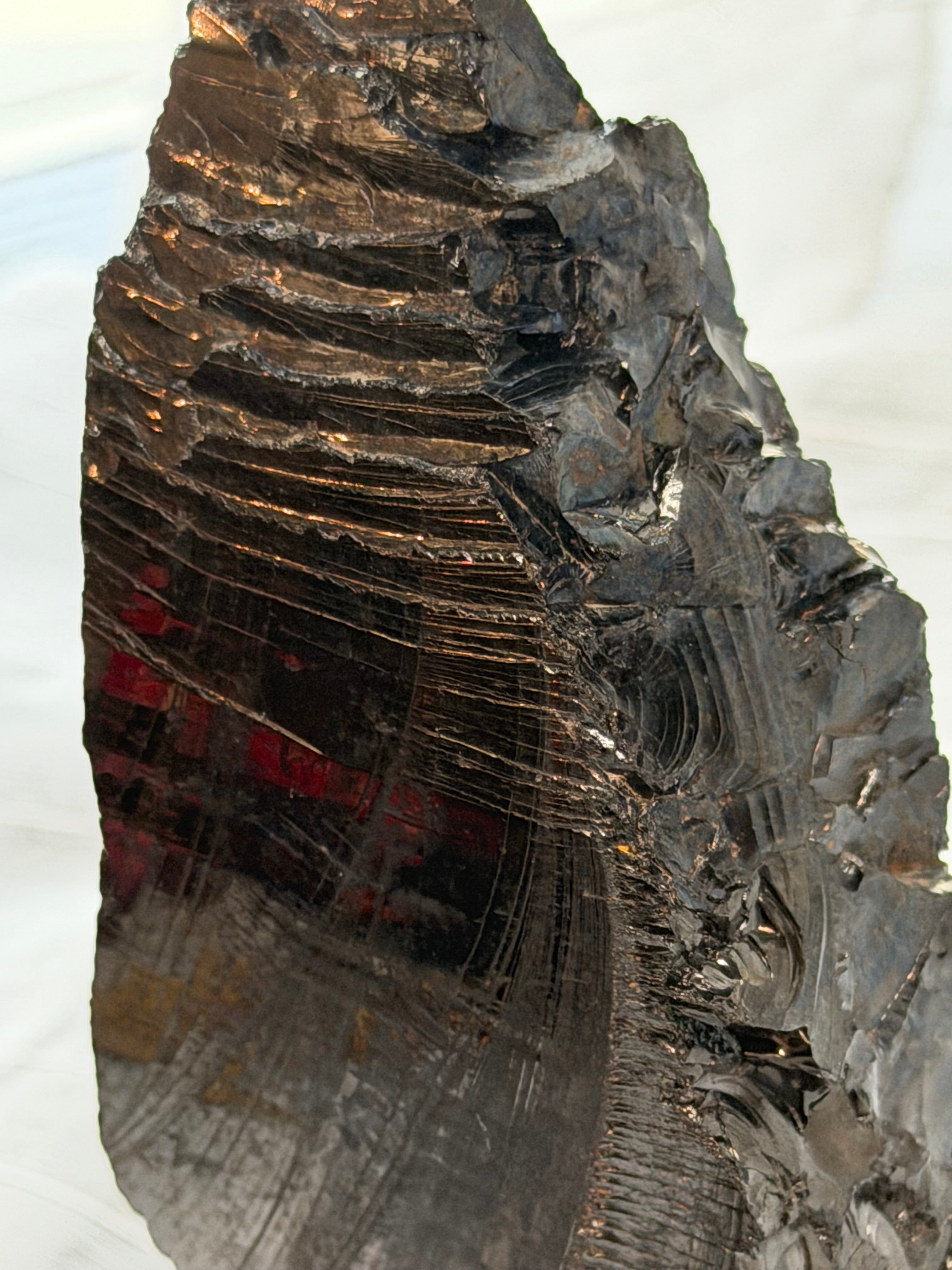 Large Elite Shungite Raw Specimen 175g - Type 1 Noble Shungite Karelia