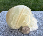 Mexican Green Onyx Skull Carving - UV Reactive Banded Calcite