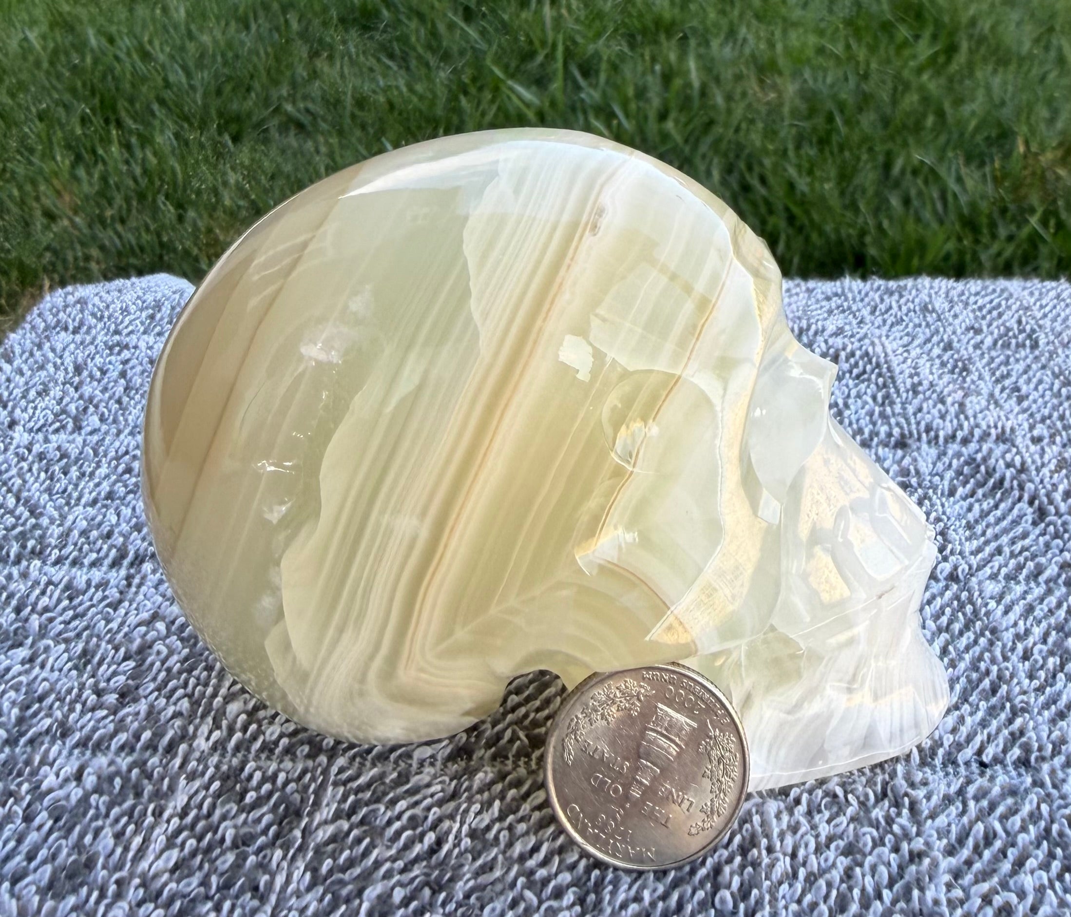Mexican Green Onyx Skull Carving - UV Reactive Banded Calcite