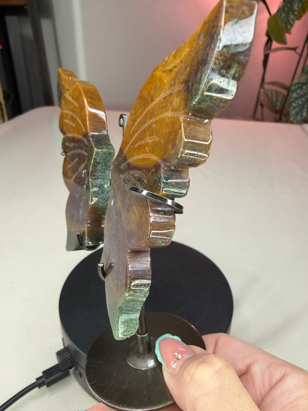 Ocean Jasper Butterfly Wings