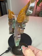 Ocean Jasper Butterfly Wings