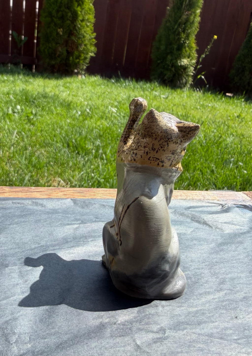 Picture Jasper Cat
