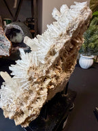 Australian Selenite Crystal Statement Piece