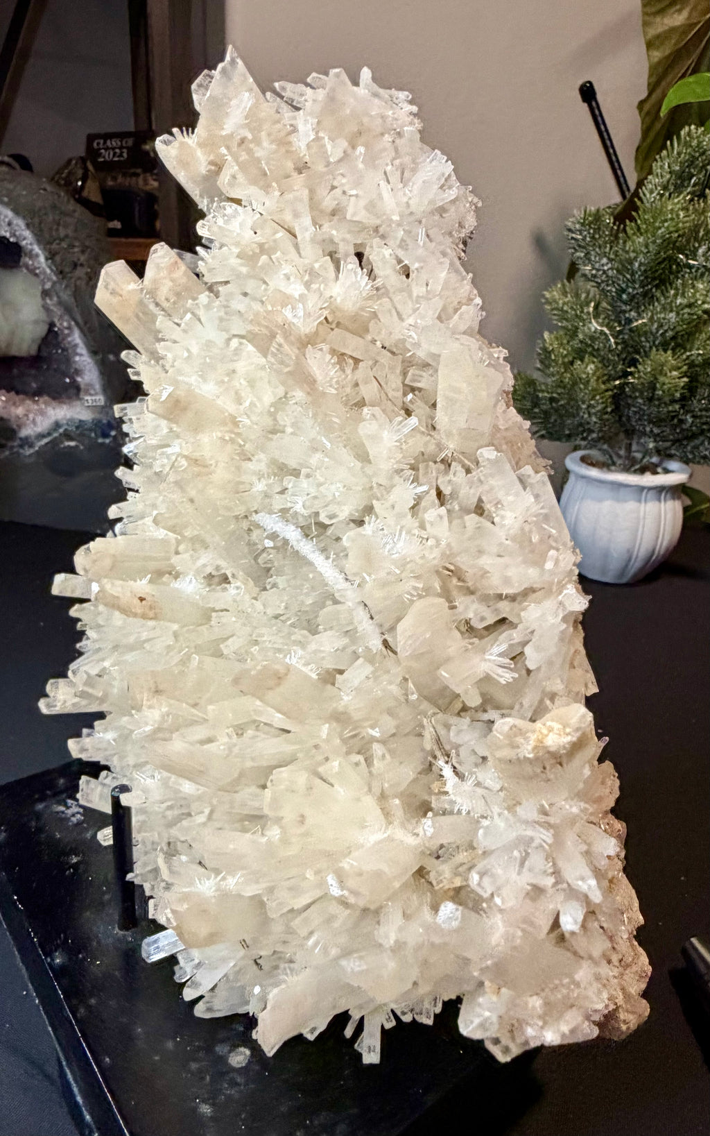 Australian Selenite Crystal Statement Piece