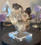Smoky Quartz Cluster on Display Stand