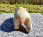 Zebra Calcite Grizzly Bear with Blue Onyx Fish - Banded Calcite Carving