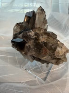 Natural Smoky Quartz Crystal Cluster on Stand