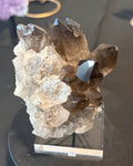 Smoky Quartz Cluster on Display Stand