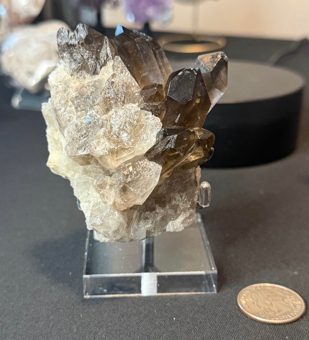 Smoky Quartz Cluster on Display Stand