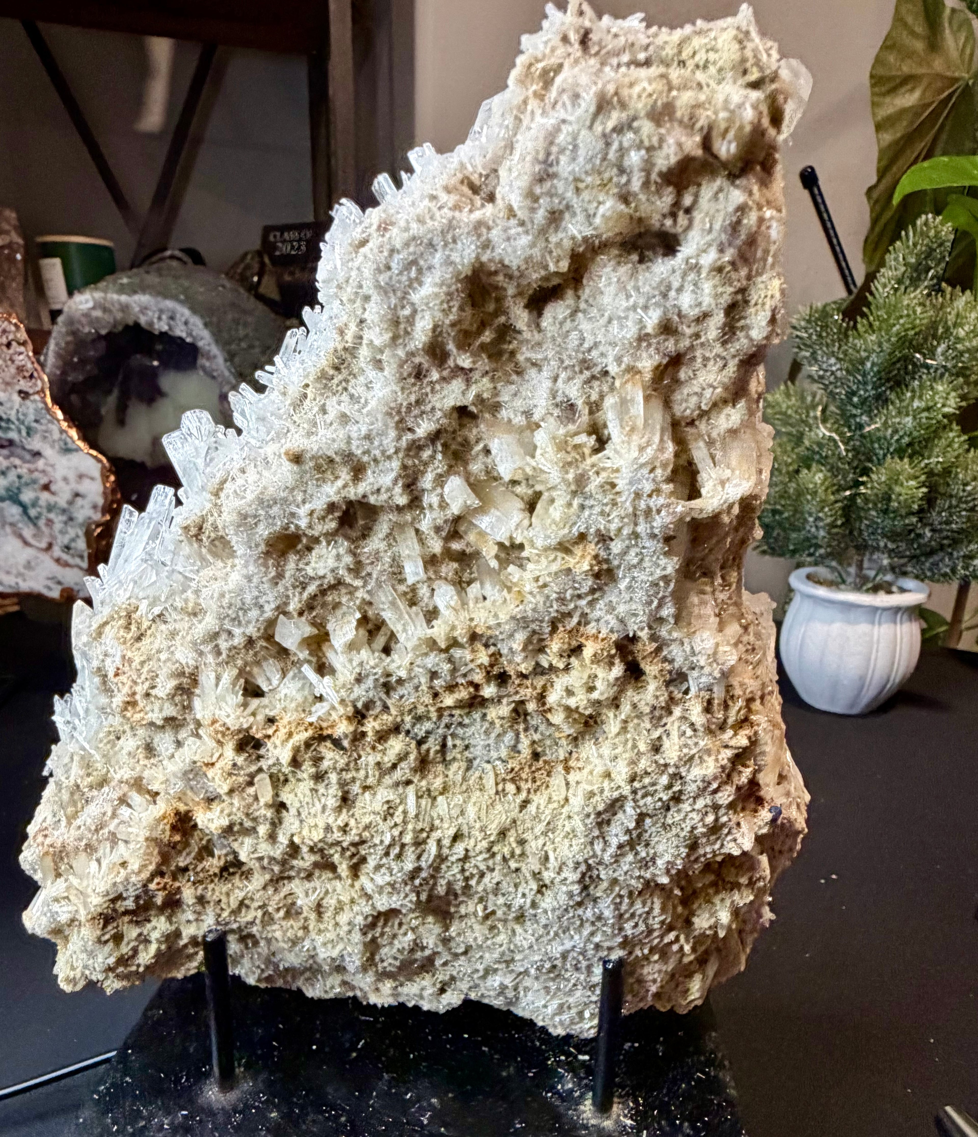 Australian Selenite Crystal Statement Piece