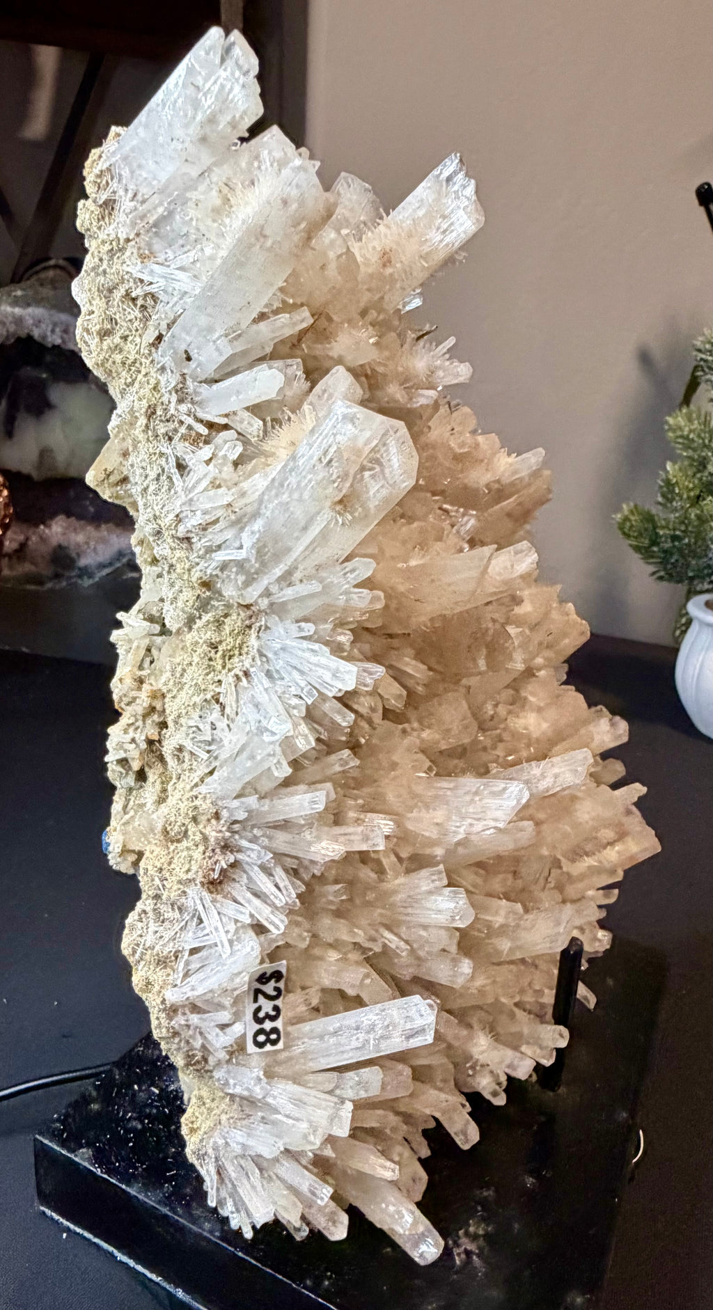 Australian Selenite Crystal Statement Piece