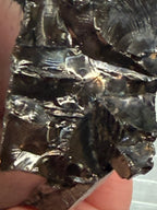 Large Elite Shungite Raw Specimen 175g - Type 1 Noble Shungite Karelia