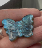 Mini Labradorite Butterfly Carving, Blue Flash Crystal