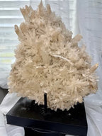 Australian Selenite Crystal Statement Piece